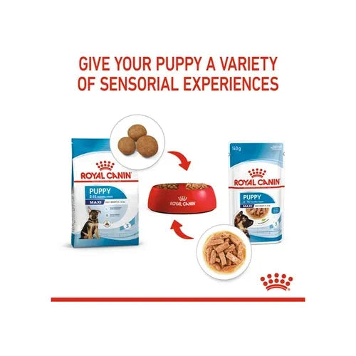Royal Canin Maxi Puppy Dog Wet Food Dog Royal Canin 