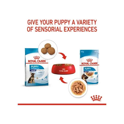Royal Canin Maxi Puppy Dog Wet Food Dog Royal Canin 