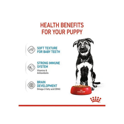 Royal Canin Maxi Puppy Dog Wet Food Dog Royal Canin 