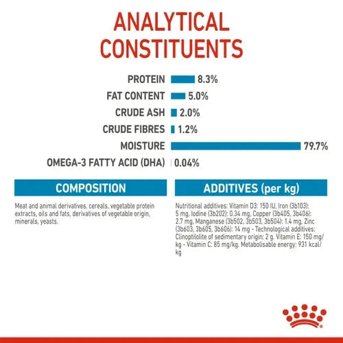 Royal Canin Maxi Puppy Dog Wet Food Dog Royal Canin 