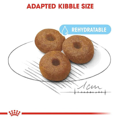 Royal Canin Maxi Starter, Mother & Babydog Dry Food - Life Care Pet Zone