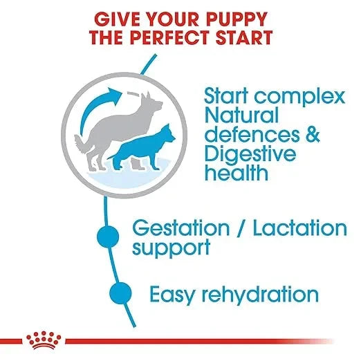 Royal Canin Maxi Starter, Mother & Babydog Dry Food - Life Care Pet Zone
