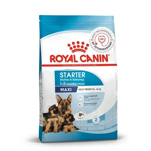 Royal Canin Maxi Starter, Mother & Babydog Dry Food Pet Food Royal Canin 