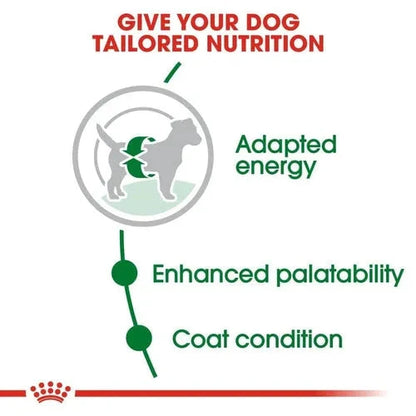 Royal Canin Mini Adult Dog Dry Food - Life Care Pet Zone
