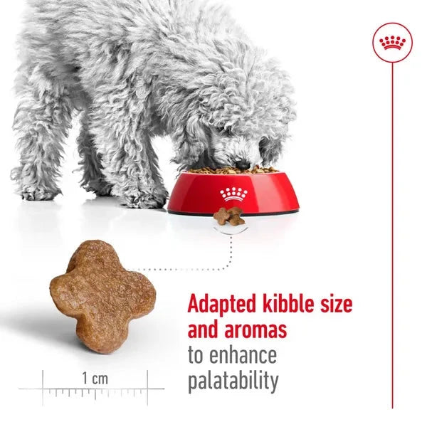Royal Canin Mini Adult Dog Dry Food - Life Care Pet Zone