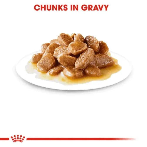 Royal Canin Mini Adult Dog Wet Food Dog Royal Canin 