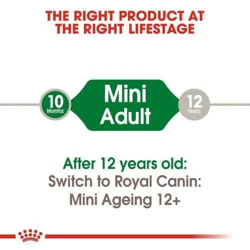 Royal Canin Mini Adult Dog Wet Food Dog Royal Canin 