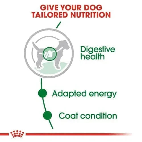 Royal Canin Mini Adult Dog Wet Food Dog Royal Canin 