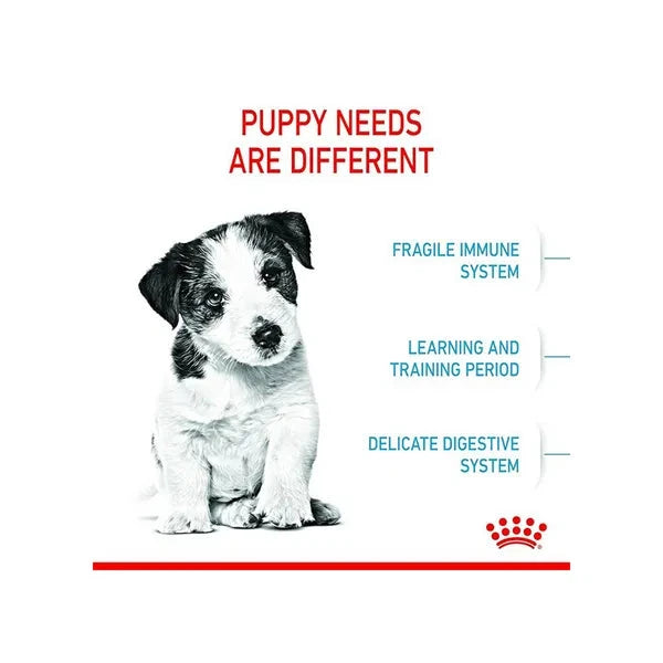 Royal Canin Mini Puppy Dog Dry Food - Life Care Pet Zone