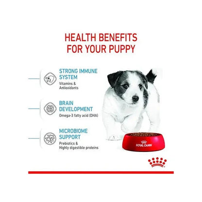 Royal Canin Mini Puppy Dog Dry Food - Life Care Pet Zone