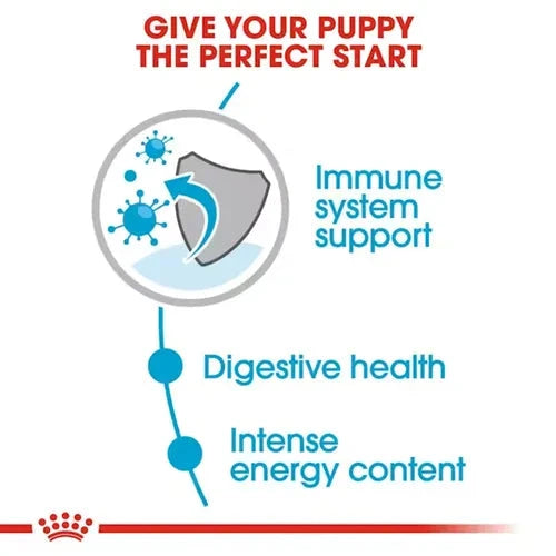 Royal Canin Mini Puppy Dog Wet Food Dog Royal Canin 