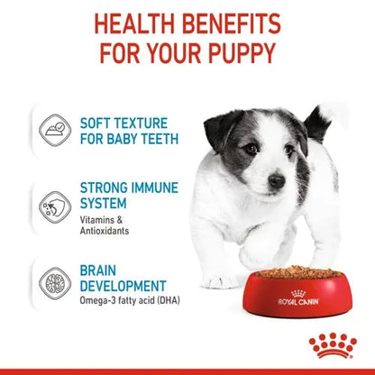 Royal Canin Mini Puppy Dog Wet Food Dog Royal Canin 
