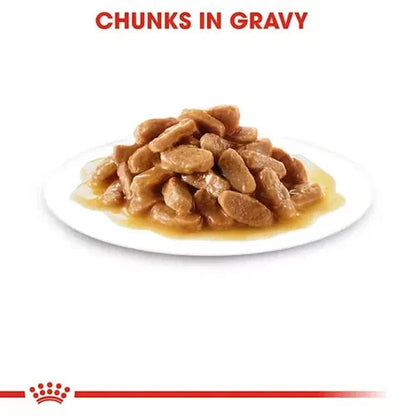 Royal Canin Mini Puppy Dog Wet Food Dog Royal Canin 