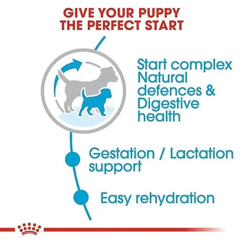 Royal Canin Mini Starter, Mother & Babydog Dry Food - Life Care Pet Zone
