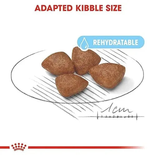 Royal Canin Mini Starter, Mother & Babydog Dry Food - Life Care Pet Zone