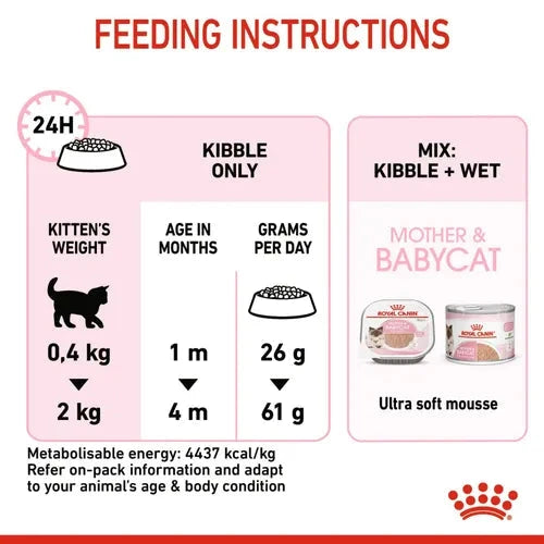 Royal Canin Mother & Babycat Cat Dry Food Cat Royal Canin 