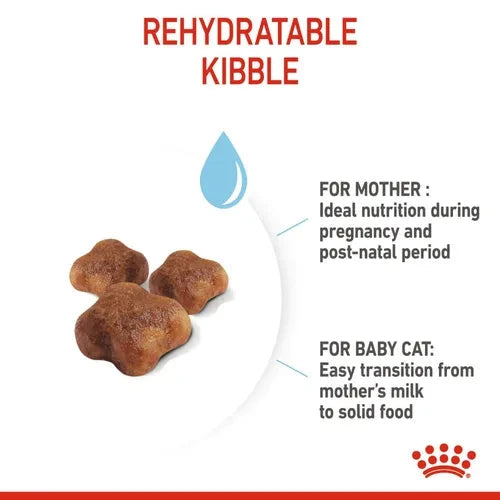 Royal Canin Mother & Babycat Cat Dry Food Cat Royal Canin 