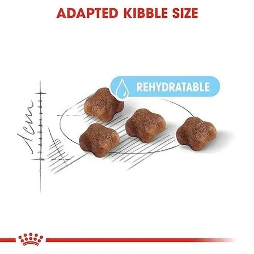 Royal Canin Mother & Babycat Cat Dry Food Cat Royal Canin 