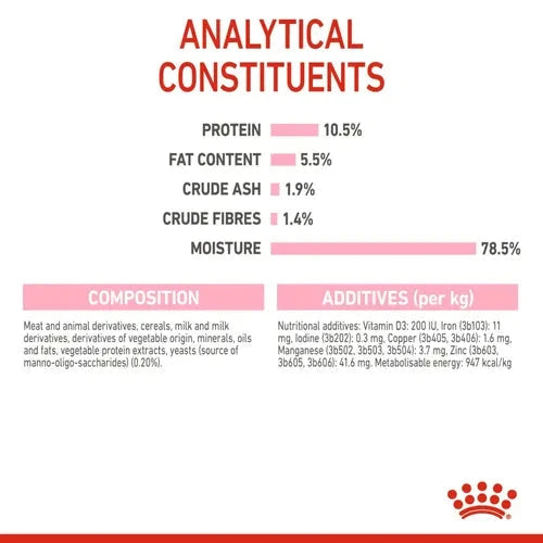 Royal Canin Mother & Babycat Cat Dry Food Cat Royal Canin 