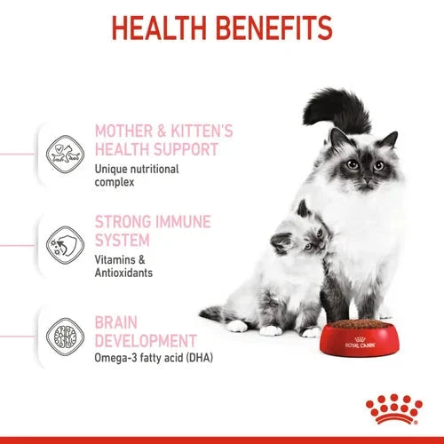Royal Canin Mother & Babycat Cat Dry Food Cat Royal Canin 