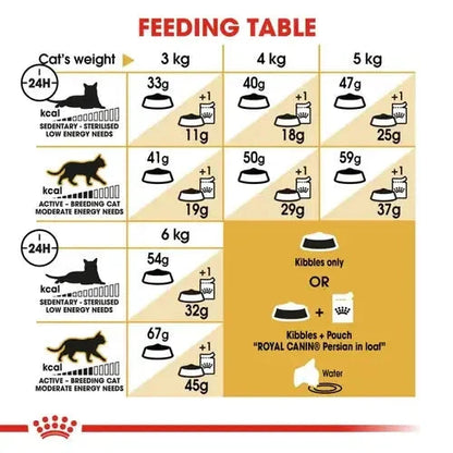 Royal Canin Persian Adult Cat Dry Food Cat Royal Canin 
