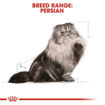 Royal Canin Persian Adult Loaf Cat Wet Food Cat Royal Canin 