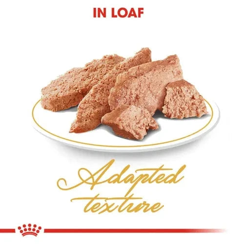 Royal Canin Persian Adult Loaf Cat Wet Food Cat Royal Canin 