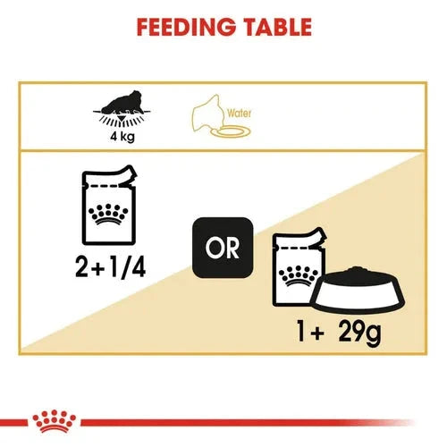 Royal Canin Persian Adult Loaf Cat Wet Food Cat Royal Canin 