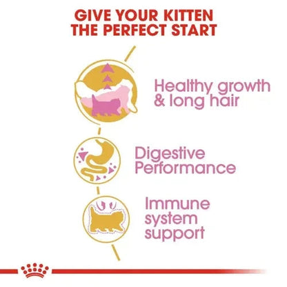 Royal Canin Persian Kitten Food Dry Cat Food Cat Royal Canin 