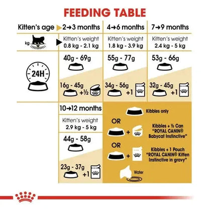 Royal Canin Persian Kitten Food Dry Cat Food Cat Royal Canin 