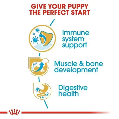 Royal Canin Rottweiler Puppy Dog Dry Food Dog Royal Canin 