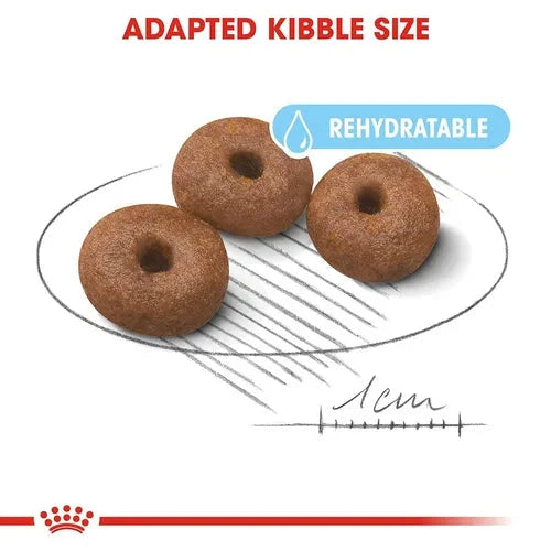 Royal Canin Royal Canin Giant Starter, Mother & Babydog Dog Dry Food Dog Royal Canin 