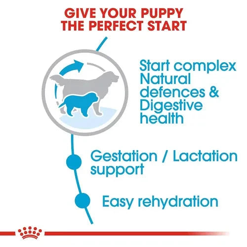 Royal Canin Royal Canin Giant Starter, Mother & Babydog Dog Dry Food Dog Royal Canin 