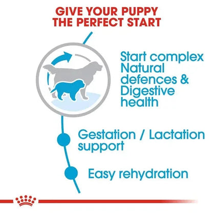 Royal Canin Royal Canin Giant Starter, Mother & Babydog Dog Dry Food Dog Royal Canin 