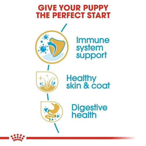 Royal Canin Shih Tzu Puppy Dry Dog Food Dog Royal Canin 