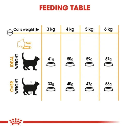 Royal Canin Skin & Hair Care for Adult Cats Dry Food Cat Royal Canin 