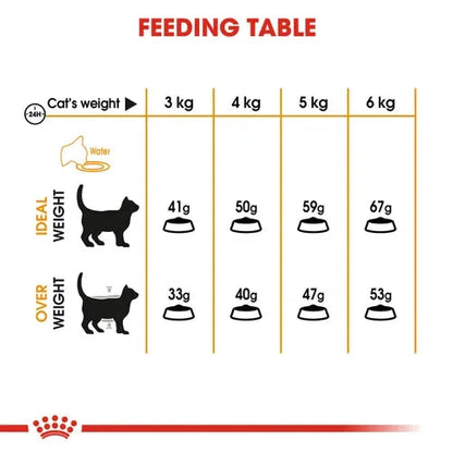 Royal Canin Skin & Hair Care for Adult Cats Dry Food Cat Royal Canin 