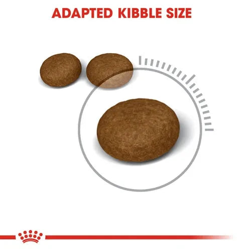Royal Canin Skin & Hair Care for Adult Cats Dry Food Cat Royal Canin 