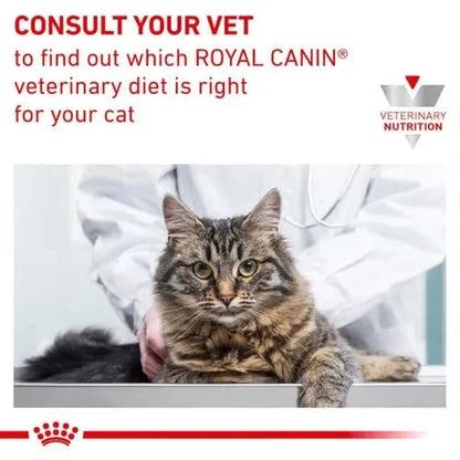 Royal Canin Veterinary Diet Renal Fish Adult Cat Wet Food Cat Royal Canin 
