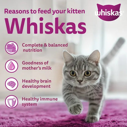 whiskas Ocean Fish Kitten